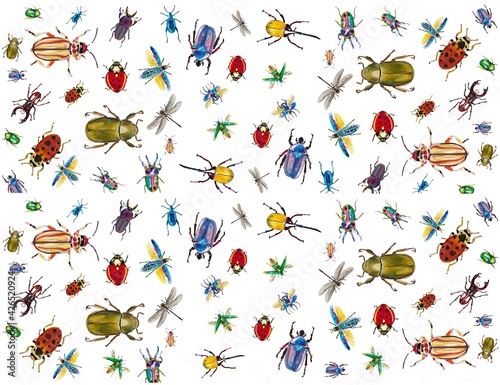  insects bugs, patterns