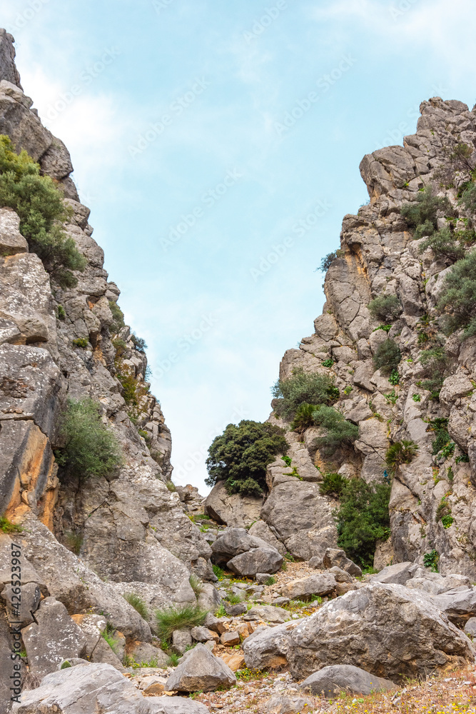 landscape with rocks