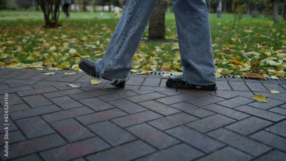 Woman legs going in city park. Unrecognizable person walking in autumn street. Woman legs going in city park. Unrecognizable person walking in autumn street.