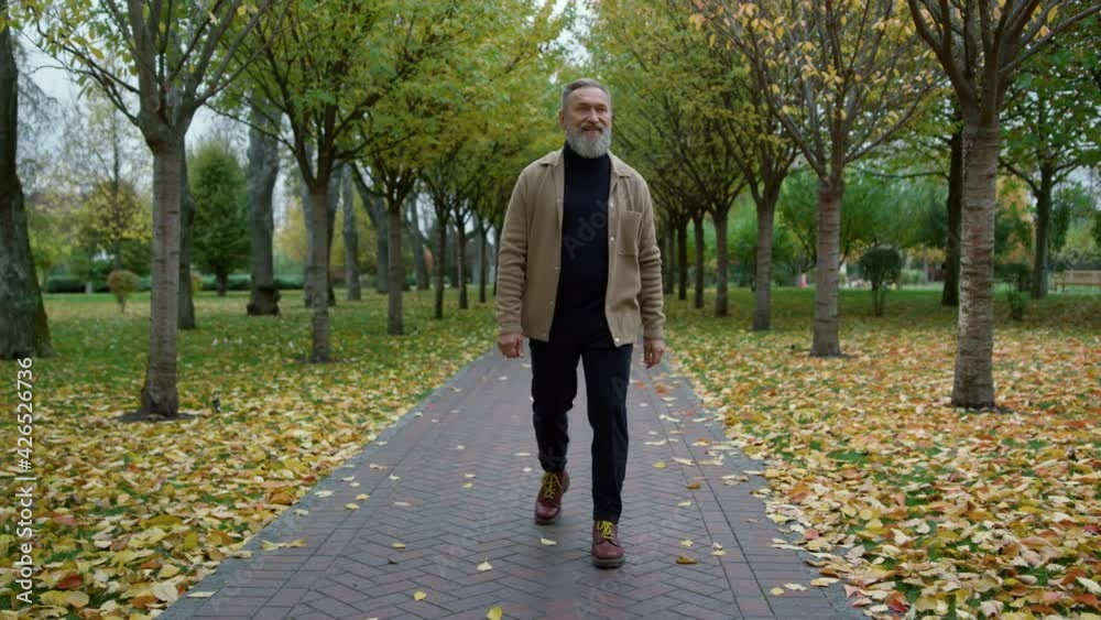 Happy confident man walking along alley in park in day time in october. Happy confident man walking along alley in park in day time in october.