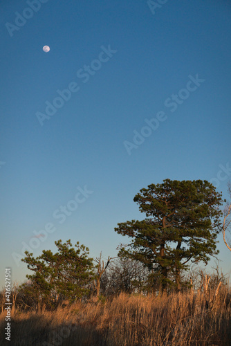 moonrise on the mountains photo