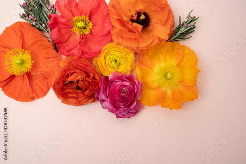 Beautiful fresh colorful poppy flower flat lay © IlzeLuceroPhoto