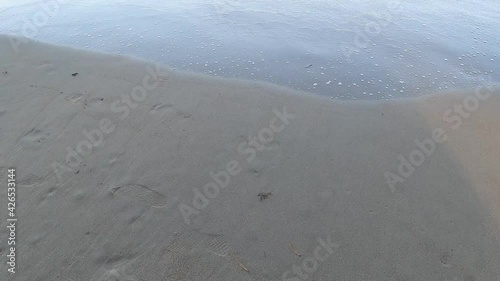 blue waves of the ocean crushing on the sand in Bornia Beach in Tasmania, photo