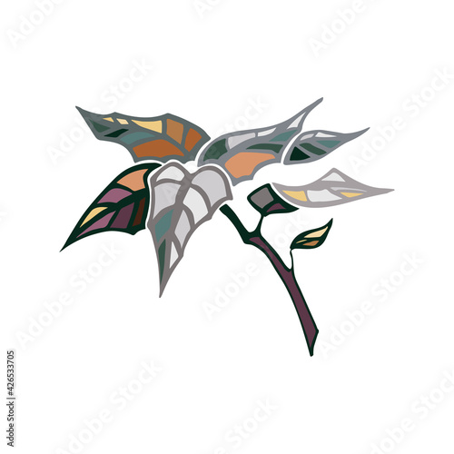 ficus color isolated element vector