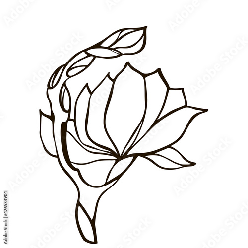 Isolated magnolia flower with buds black and white vector