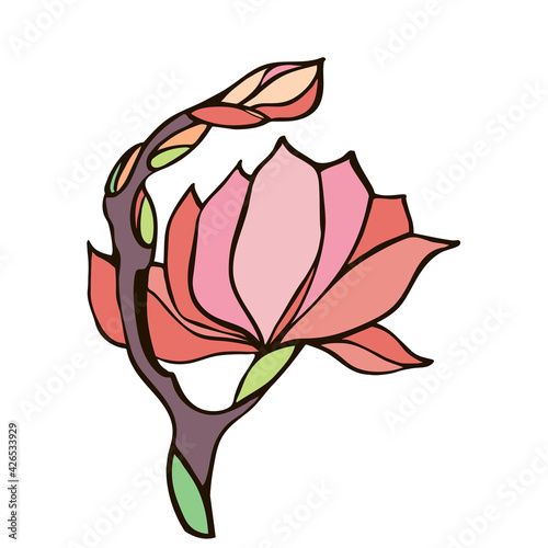 Isolated magnolia flower with buds color vector