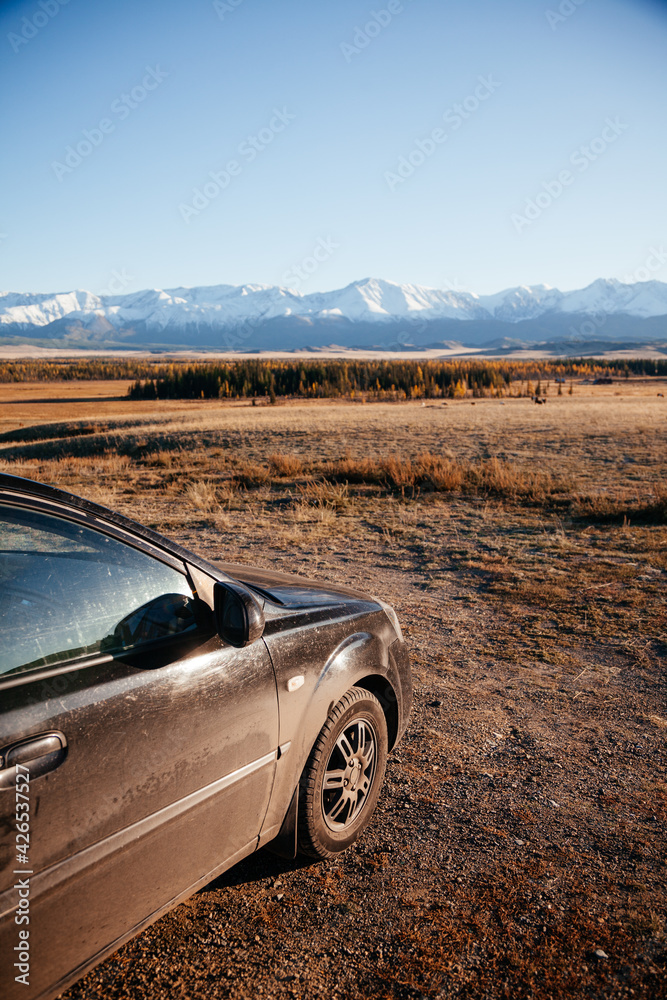custom made wallpaper toronto digitalAuto trip to Kurai steppe in early autumn in Altay mountains