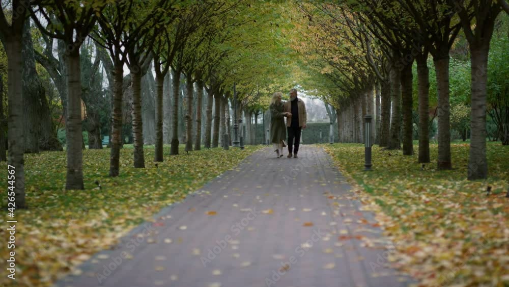 Wide full length of happy senior couple walking in autumn park. Romantic woman. Wide full length of happy senior couple walking in autumn park. Romantic woman.