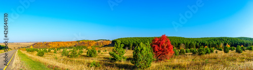 Panoramic view of the highway surrounded by the landscape of the Karakulinsky district. Udmurt Republic, Russia.
