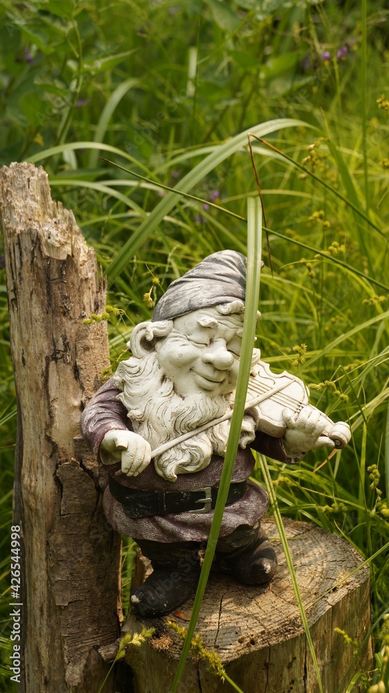 Obraz premium bird in the nest