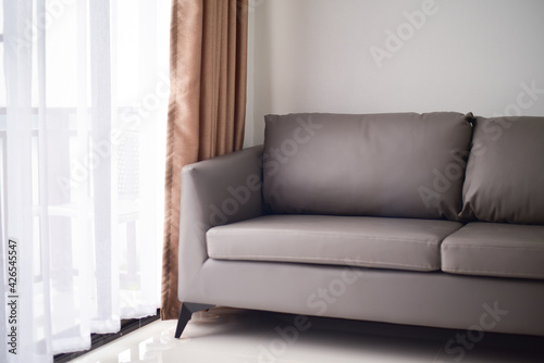 Brown sofa in white room. © toeytoey