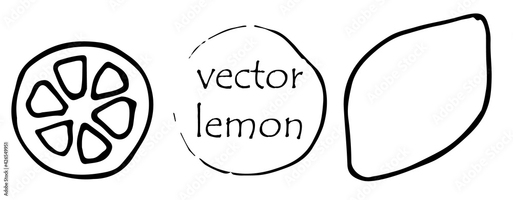 Vector hand drawn lemon. Tropical fruit. Sketch. Doodle. Perfect for summer design. Concept for kids children print, clothes, pattern, learning material, alphabet, wrapping paper.