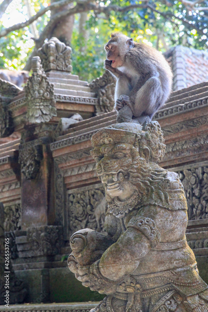 monkey on a statue 