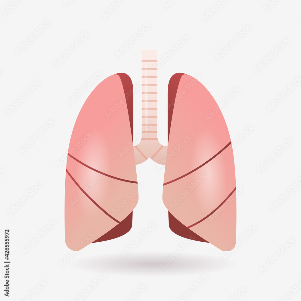 lungs icon human internal organ anatomy biology healthcare medical concept respiratory breathing system flat lungs icon human internal organ anatomy biology healthcare medical concept respiratory breathing system flat