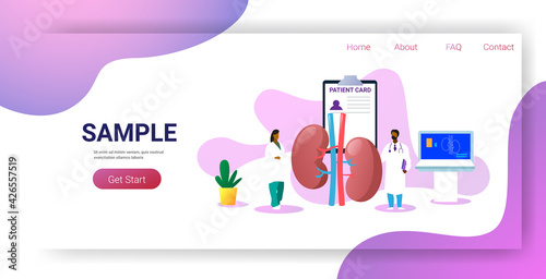doctors team examining human kidneys medical consultation internal organ inspection examination treatment concept horizontal copy space full length