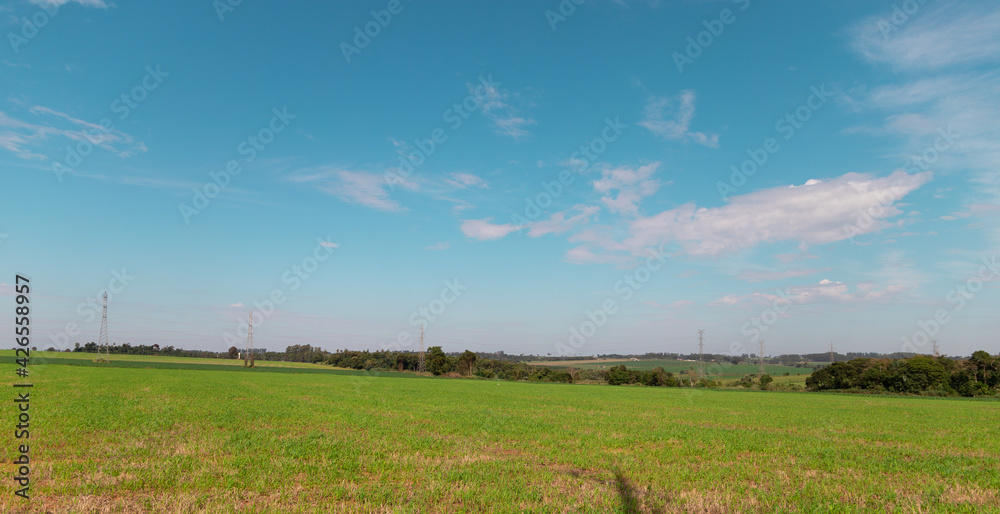 Obraz premium field and sky