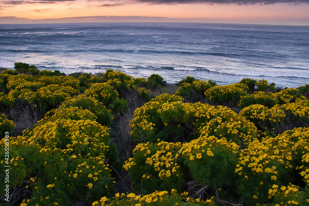 Jalama county park at sunrise in the spring