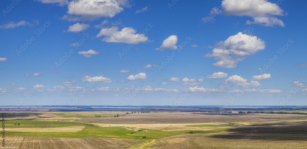 Spring fields and blue sky with white clouds