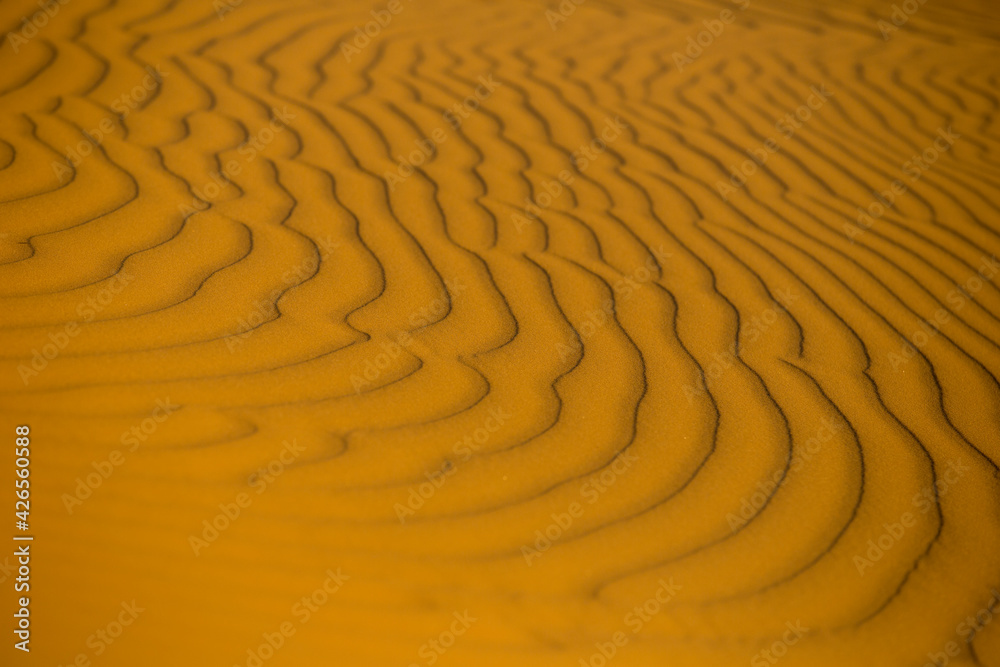 Naklejka premium Sand dunes in Sahara desert
