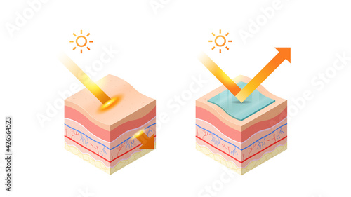 protection and penetrate uv rays from sun into epidermis of skin cross-section of human skin layers structure skincare medical concept flat horizontal