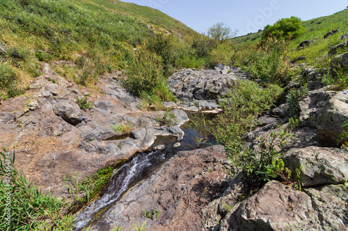 A stream of fresh water flowing into a natural pool surrounded by spring plants in Nahal Eit, Golan Heights