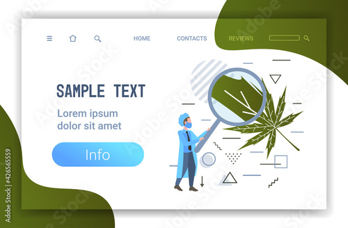 male researcher using magnifier for checking marijuana leaf healthcare pharmacy medical cannabis concept horizontal full length copy space