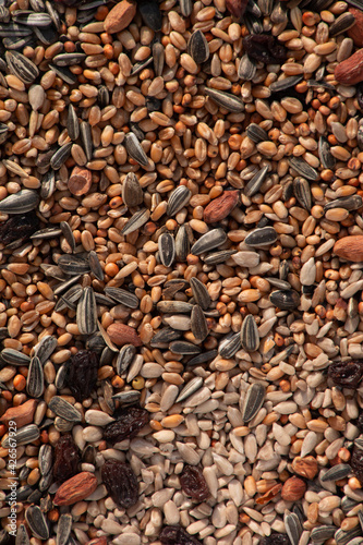 wild bird feed or seed mix background with peanuts and dried raisins and cereals