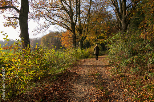 Frau spaziert im Herbstwald, Herbst Wanderungen