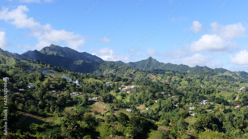 viewpoint in the rainforest (seen in Saint Vincent and the Grenadines)