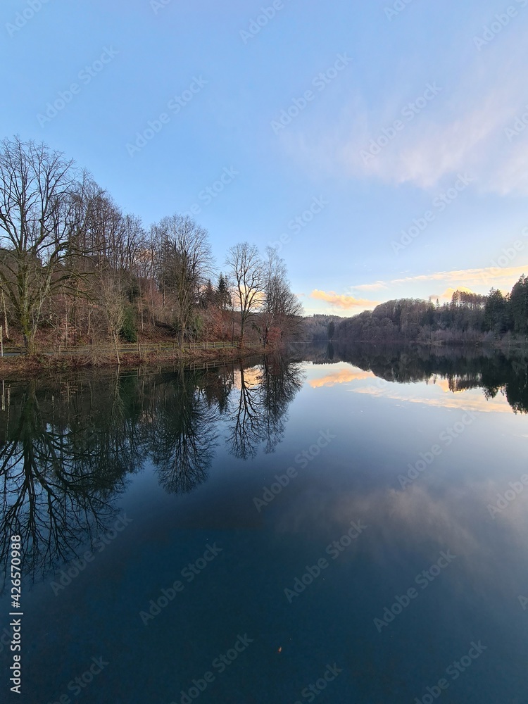 Lake Fürwiggetalsperre in forest in winter in Sauerland, Germany Lake Fürwiggetalsperre in forest in winter in Sauerland, Germany