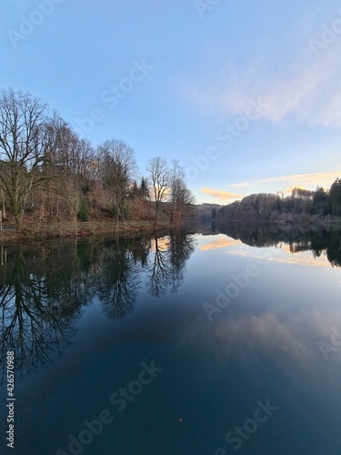 Lake F  rwiggetalsperre   in forest in winter in Sauerland  Germany 