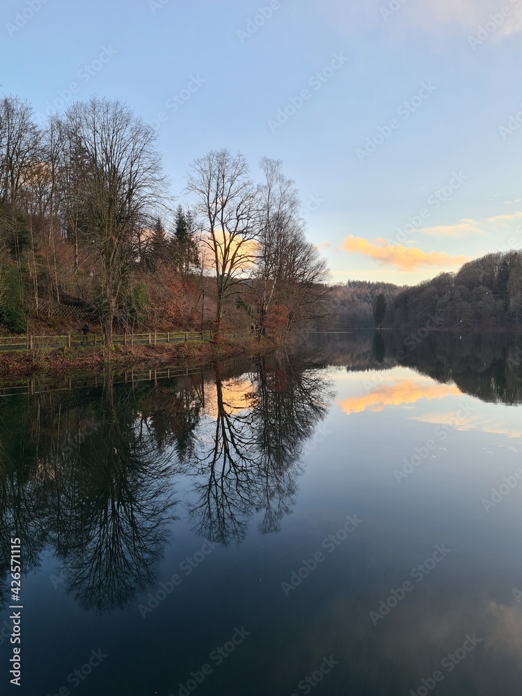 Lake Fürwiggetalsperre in forest in winter in Sauerland, Germany Lake Fürwiggetalsperre in forest in winter in Sauerland, Germany