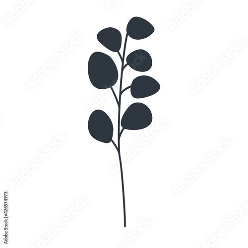 Silhouette of a branch of eucalyptus populus on a white background