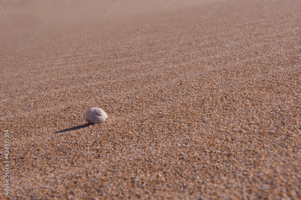 Sandy sea view. sea sand background. Castro beach, Tekirdag.
Sandy sea view. sea sand background. Castro beach, Tekirdag.