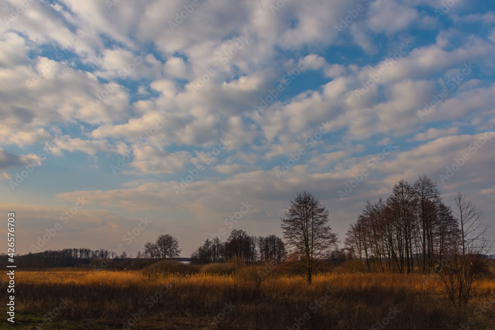 clouds in the evening over the yellow field 