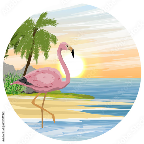 Round composition. Pink flamingo in the warm blue water. Tropical islands with palm trees. Summer. Birds of Africa and South America. Anser caerulescens. Realistic vector landscape