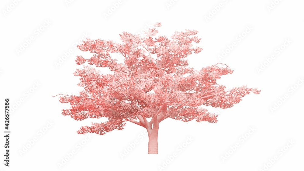 Fototapeta premium an artistic tree