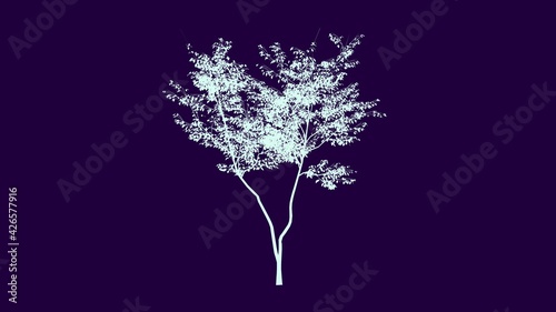 an artistic tree © JK