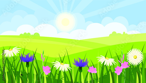 Summer green fields with wildflowers. Sunny meadows. Landscape