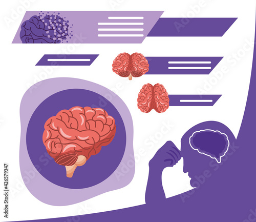 alzheimer human brain