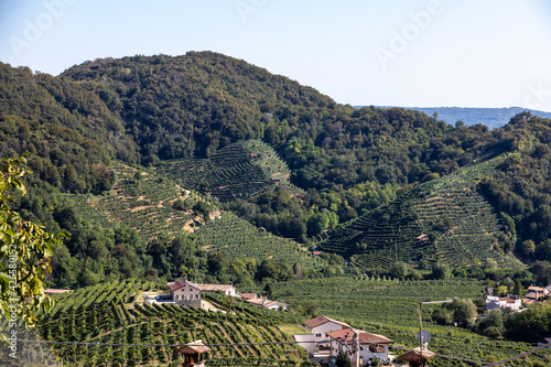 Picturesque hills with vineyards of the Prosecco sparkling wine region in Santo Stefano. Italy.