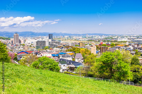 新緑の丘から眺める住宅地