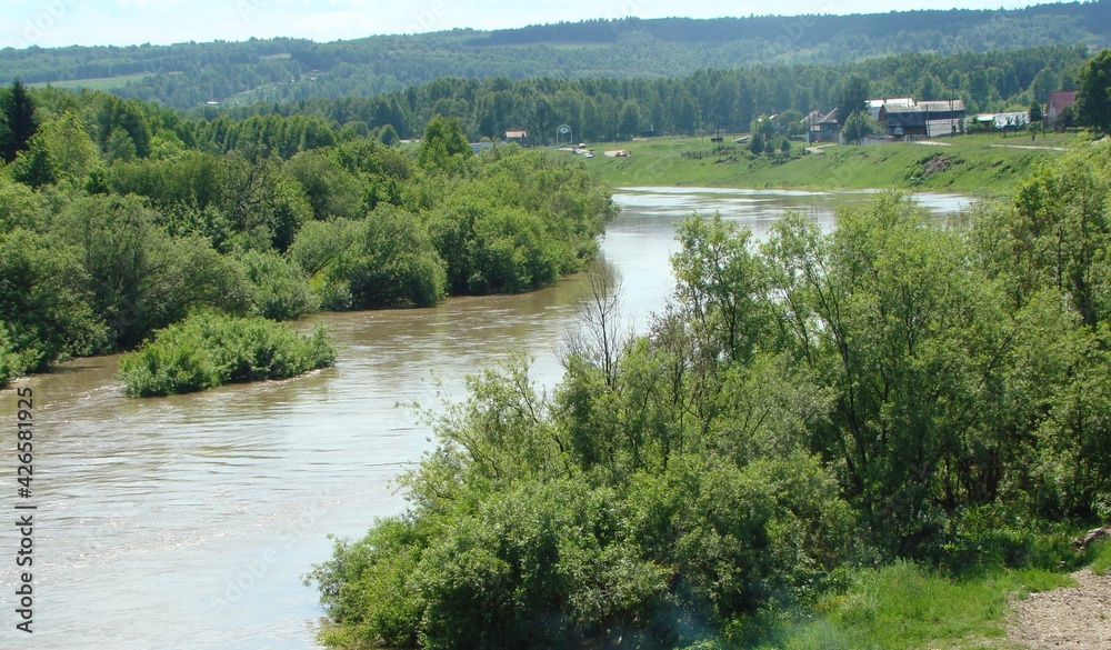 Obraz premium river in the mountains