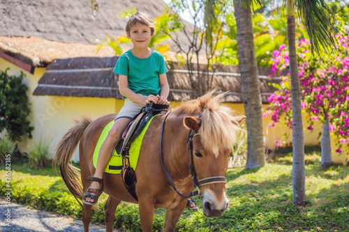 Smiling, young boy ride a pony horse. Horseback riding in a tropical garden