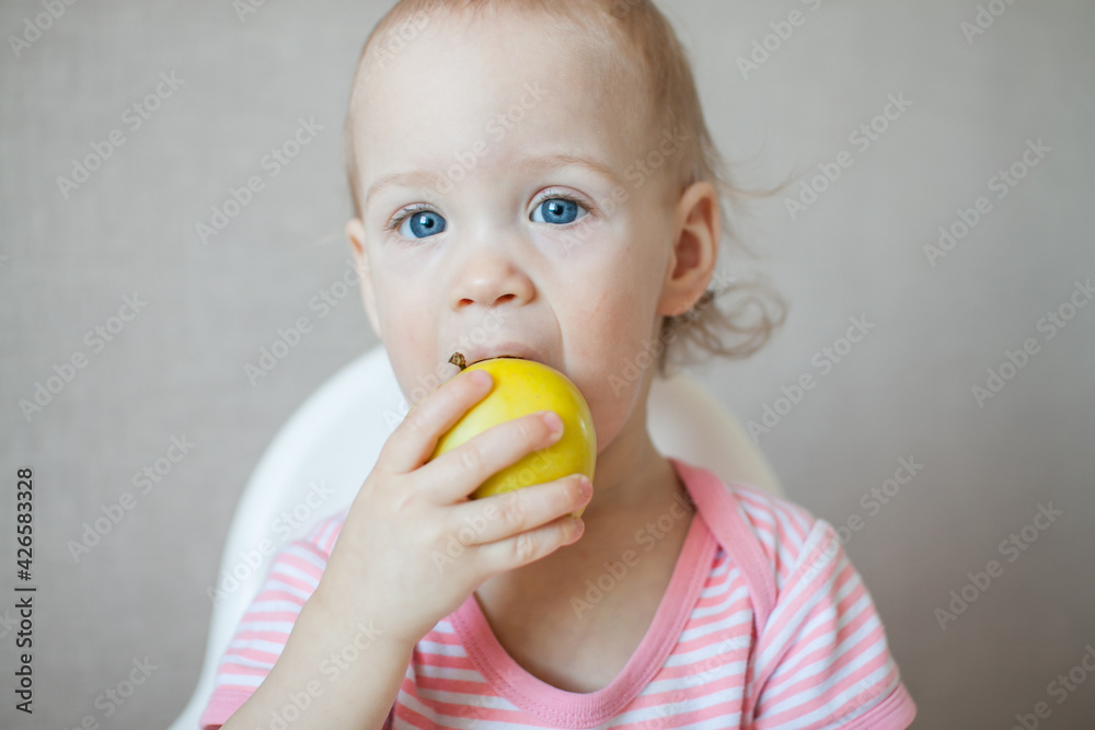 A little girl tastes, examines and plays with fresh apples with pleasure and interest. High quality photo A little girl tastes, examines and plays with fresh apples with pleasure and interest. High quality photo