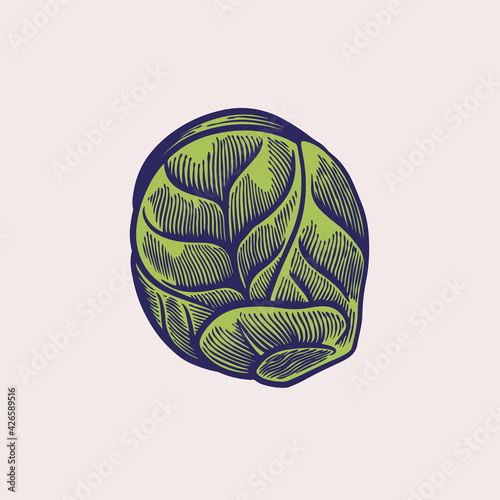 Green romain lettuce hand drawn sketch. Fresh leaves ingredient for salad in vintage engraving style. Organic food concept. Healthy organic vegetarian food vector Illustration