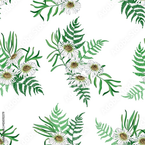 Daisies and ferns on a white background. Seamless vector pattern with leaves and flowers.