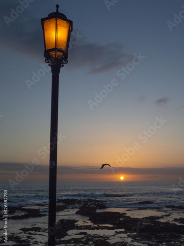 Atardecer iluminado por farola y gaviota