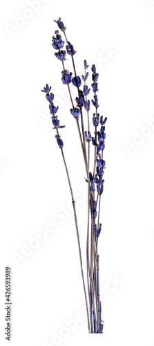 Branches of dry fragrant lavender isolated on white background