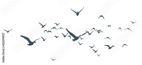 The Siluettes of flight ducks in the sky.